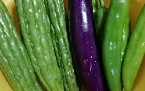 广东客家菜煎酿三宝怎么做的