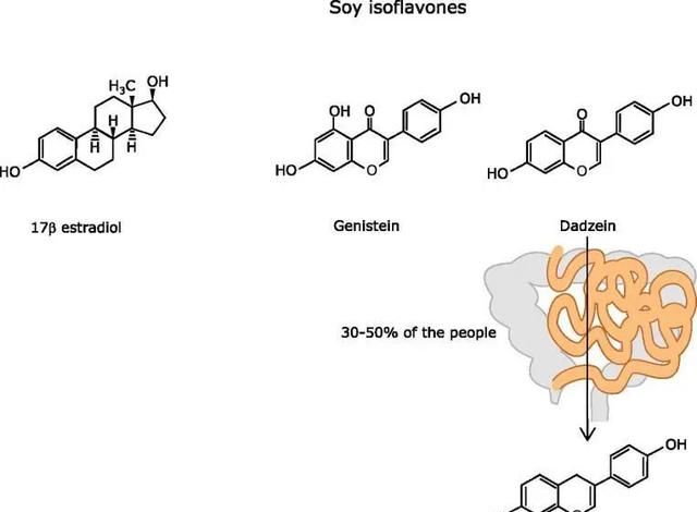 吃大豆会性早熟还致癌？其实好处非常多→
