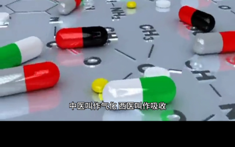 人体气化作用是什么(气有气化的功效吗)