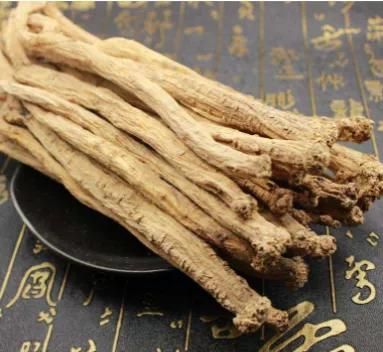 【马博士女性“养生馆”】药食同源：葛根的用法
