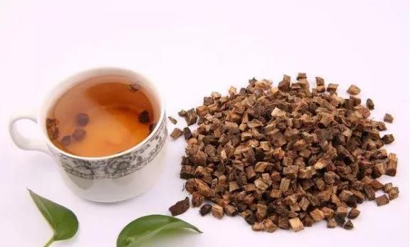 【马博士女性“养生馆”】药食同源：葛根的用法