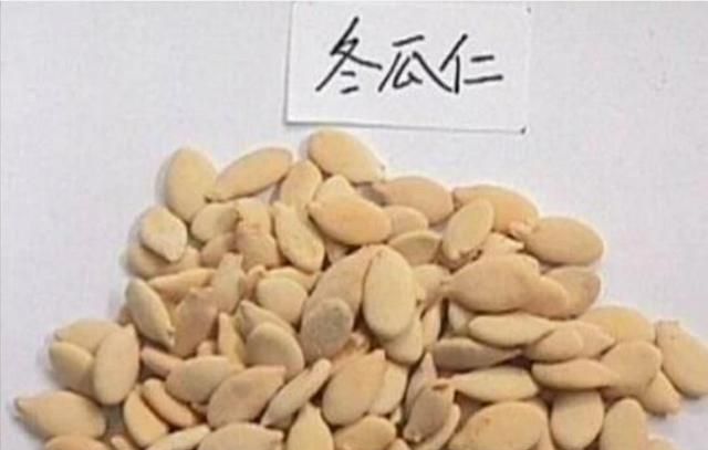 冬瓜仁有什么用途图1