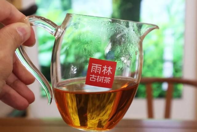 雨林古树红茶，让生活“甜”出新高度