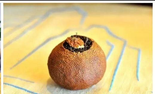 柑普茶教会我们的道理图3