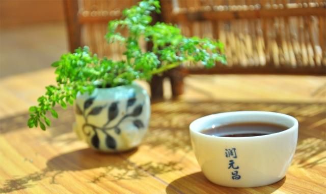 柑普茶教会我们的道理图4