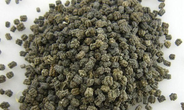 承载满满儿时记忆的蚕宝宝，排出来的便便竟是风湿良药