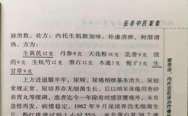 岳美中医案精读之二——慢性肾盂肾炎的治疗