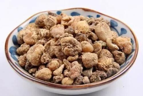 毛慈菇的功效与作用毛慈菇,毛慈菇如何使用图1