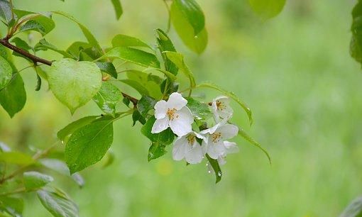 经常吃花椒，身体会出现哪些变化？