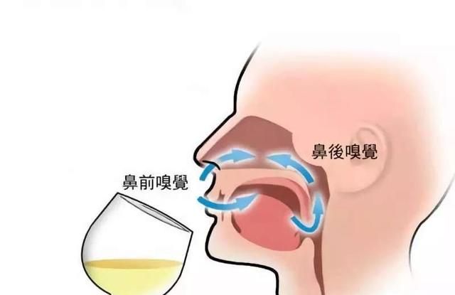 爱斯基摩人腌海雀有什么营养图8