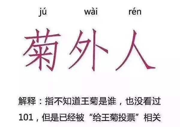 王菊是怎么火起来的(王菊怎么火起来的)图1