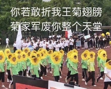 王菊是怎么火起来的(王菊怎么火起来的)图9