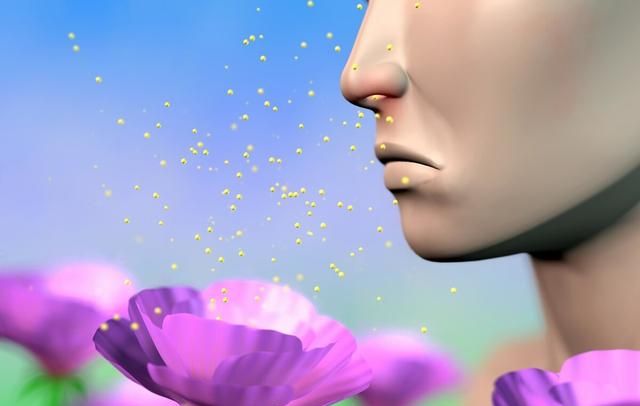 白芷：出自《神农本草经》；祛风解表，止痛，通鼻窍，燥湿