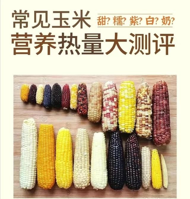 甜？糯？紫？白？奶？常见玉米营养热量大测评