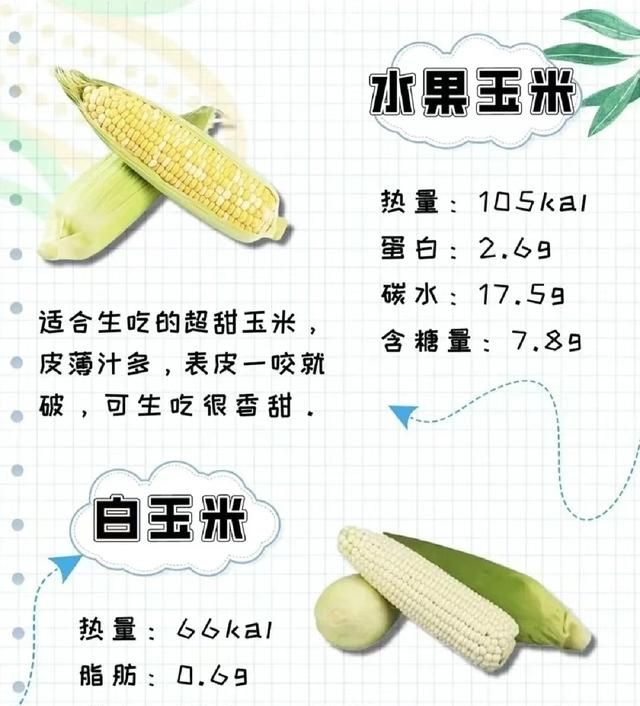 甜？糯？紫？白？奶？常见玉米营养热量大测评