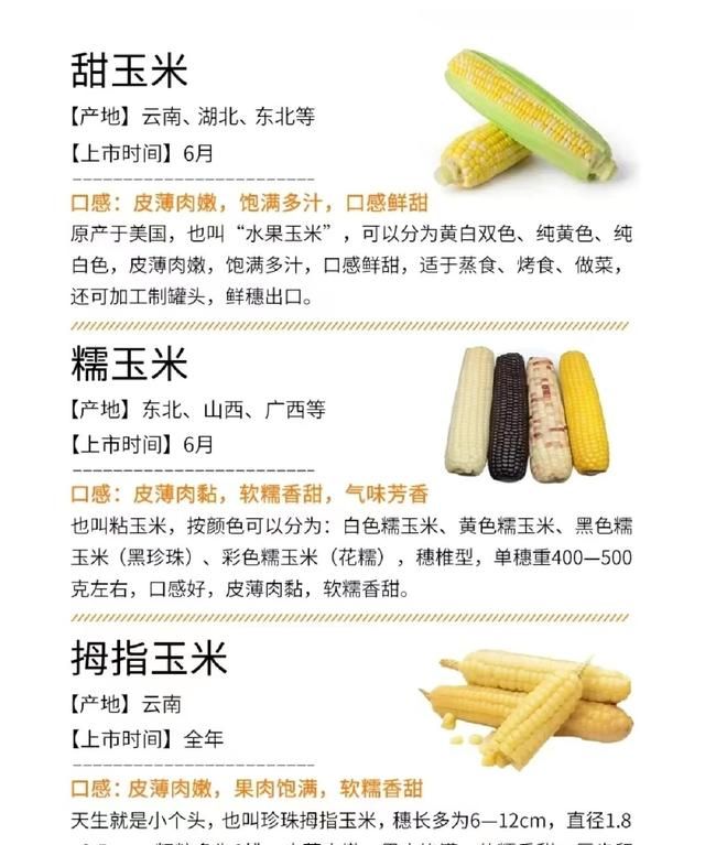甜？糯？紫？白？奶？常见玉米营养热量大测评