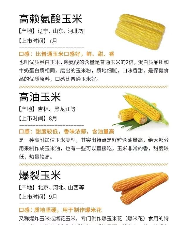 甜？糯？紫？白？奶？常见玉米营养热量大测评
