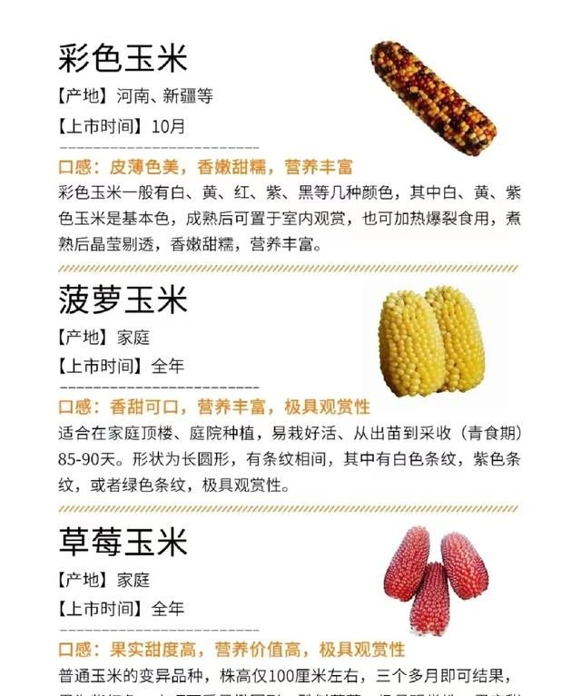 甜？糯？紫？白？奶？常见玉米营养热量大测评