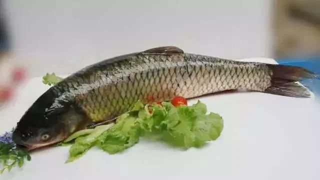 草鱼可以当生鱼片吃吗图9