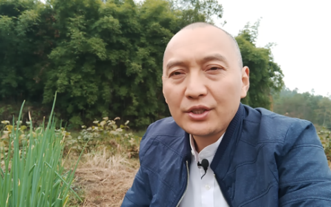 大葱的作用与功效 常吃大葱有五大奇效