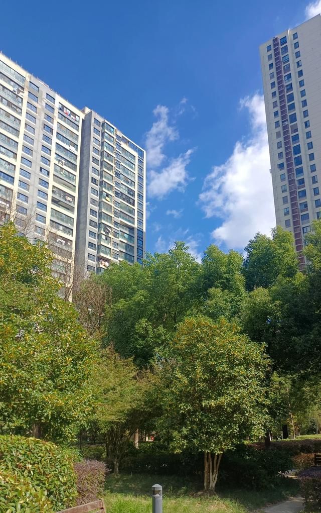 湿毒引起的皮肤病怎么治疗(湿毒重的人才会有皮肤病嘛)图1