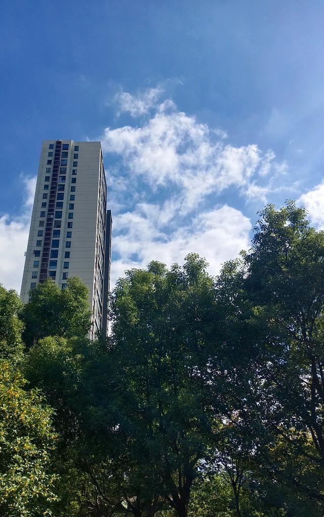 湿毒引起的皮肤病怎么治疗(湿毒重的人才会有皮肤病嘛)图2
