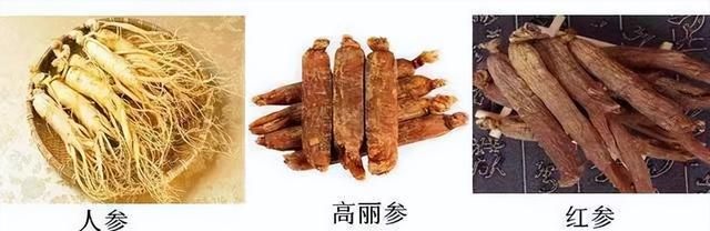 大补7种参，药性各不同，不要吃错了