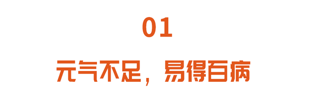 元气不足百病生！喝一茶，吃一菜，补脾胃、益元气、泻邪火！比人参管用~