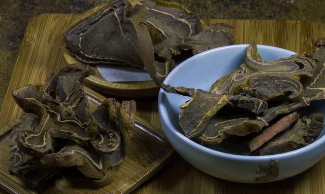 中药材狗脊