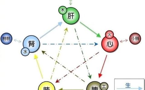 什么食物可以补心,什么食物可以补心脏