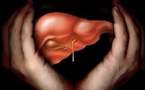 血吸虫性肝硬化是怎么引起的(血吸虫肝硬化饮食上注意什么)