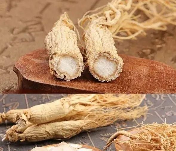 闫玉红健康课堂 | 不同种类的人参，功效有什么不同？