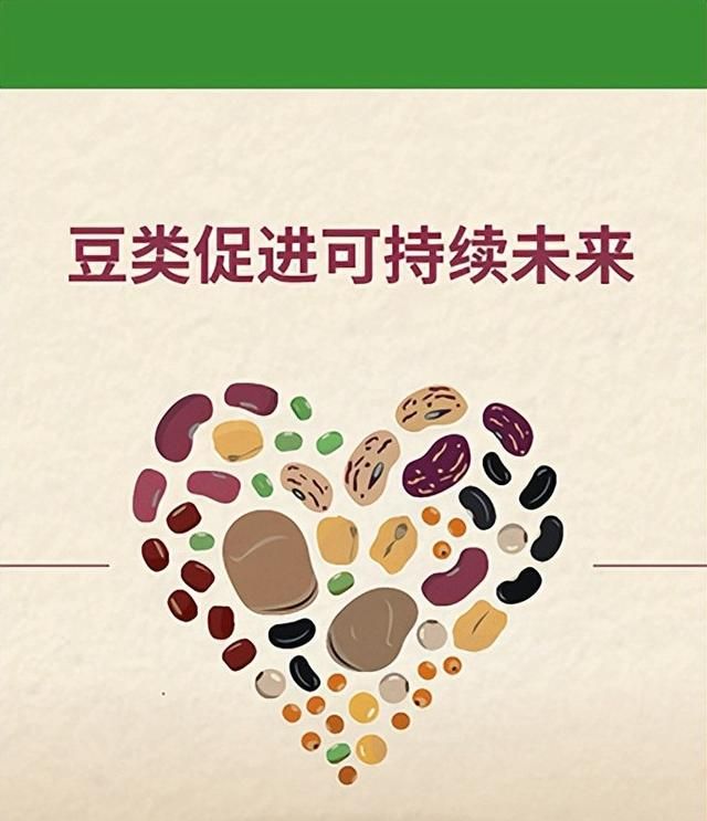 爱豆爱生活，豆儿的分类大家知道吗？