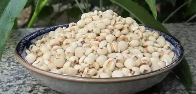 薏米，不仅仅是祛湿这么简单