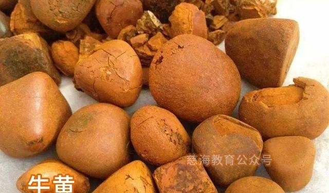 每天学习一味中药——牛黄