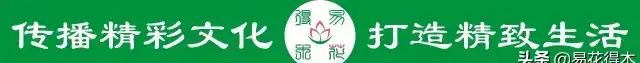 石斛的鉴赏养护｜我国分布的草叶组5种珍稀石斛的辨识区别