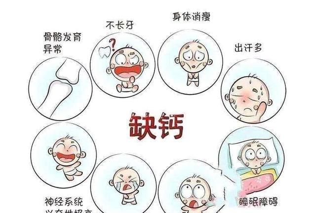 小孩2岁除了吃奶粉外,吃什么补钙好些呢图6