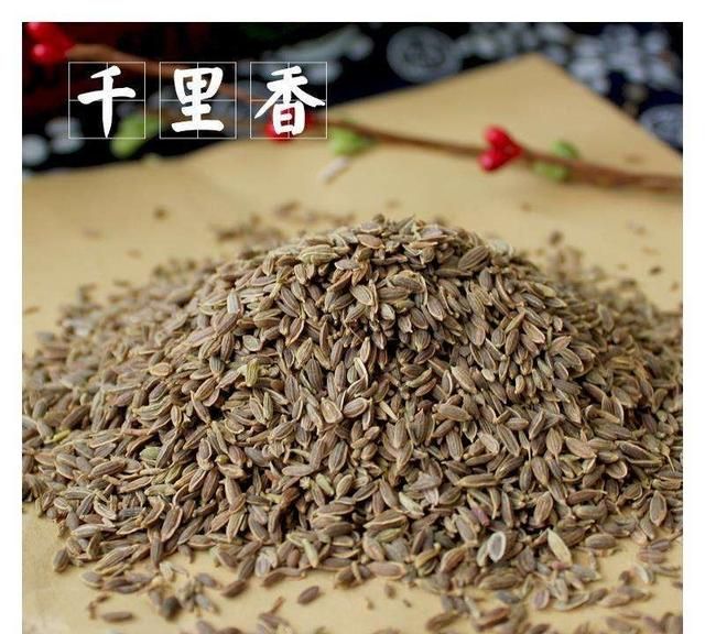 千里香在卤菜中起什么作用(千里香的卤料有什么功效)图6