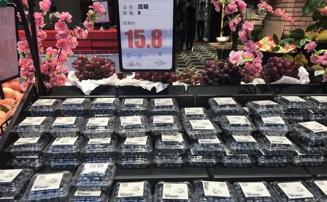 成都国产蓝莓走俏 一盒低至10元 你还不来pick一下？