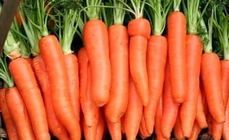 有人喜欢吃胡萝卜吗,有人爱吃胡萝卜吗图1