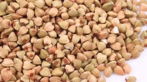 沃甜如何种植和管理,甜荞种植技术和管理图10