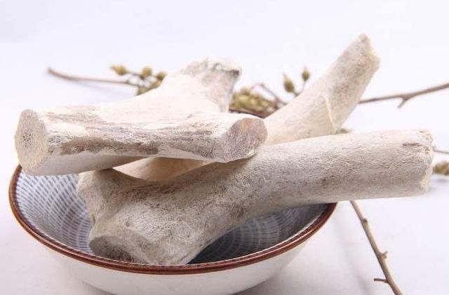 《本草精荟》：温补肾阳：鹿角片、鹿角胶、鹿角霜的功效与应用