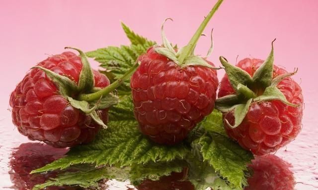 农村公认最好吃的4种野果山莓,山上野青梅怎么泡图4