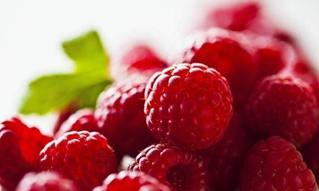 农村公认最好吃的4种野果山莓,山上野青梅怎么泡图6