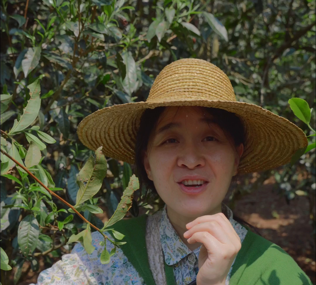 你还知道茶果的其他作用吗？#茶叶知识分享