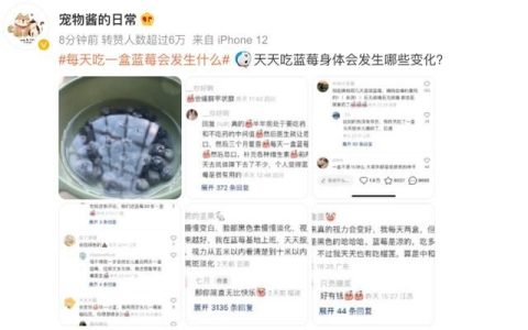 每天吃一盒蓝莓会怎么样