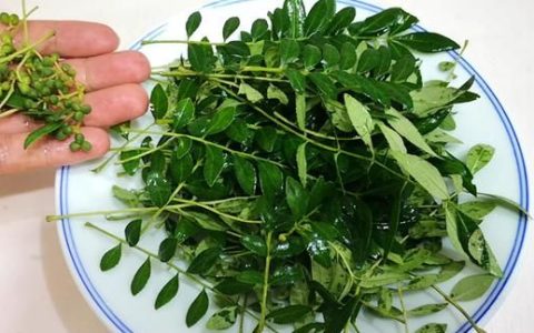 5月大量上市！这菜抓紧吃，一杀菌、二消炎、三强免疫，错过可惜