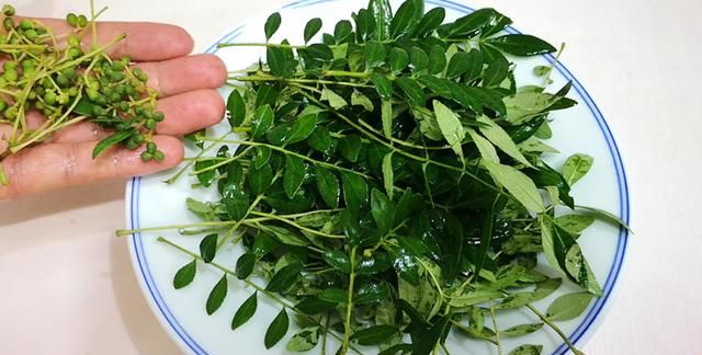 5月大量上市！这菜抓紧吃，一杀菌、二消炎、三强免疫，错过可惜
