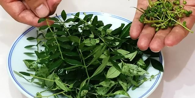 5月大量上市！这菜抓紧吃，一杀菌、二消炎、三强免疫，错过可惜
