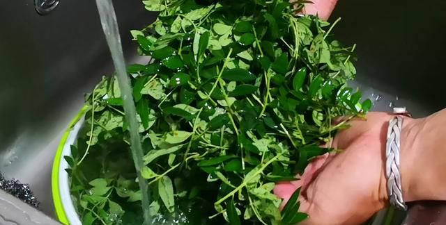 5月大量上市！这菜抓紧吃，一杀菌、二消炎、三强免疫，错过可惜